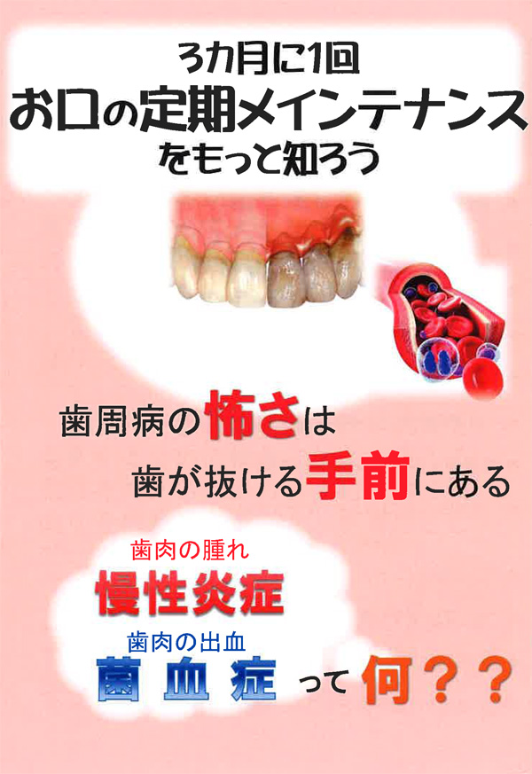 歯と栄養や老化に関する小冊子
